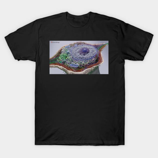 Eukaryotic Cell T-Shirt by Smart Biology